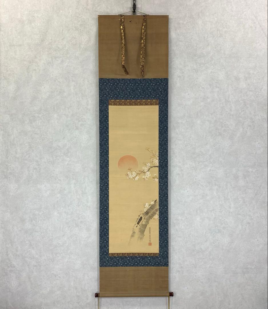 掛軸 土佐光孚 朝日に桜 木箱 2-51