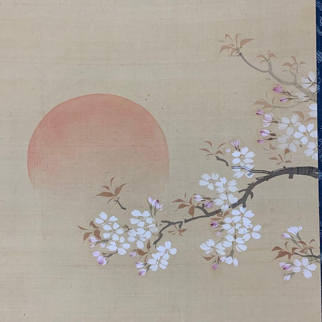 掛軸 土佐光孚 朝日に桜 木箱 2-51