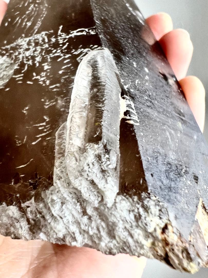 最終価格✨超希少AAAAセラデ産 レムリアン ✨ファントムシトリンスモーキー水入