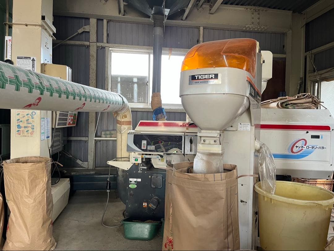 令和7年度コシヒカリ　近江米　農薬不使用