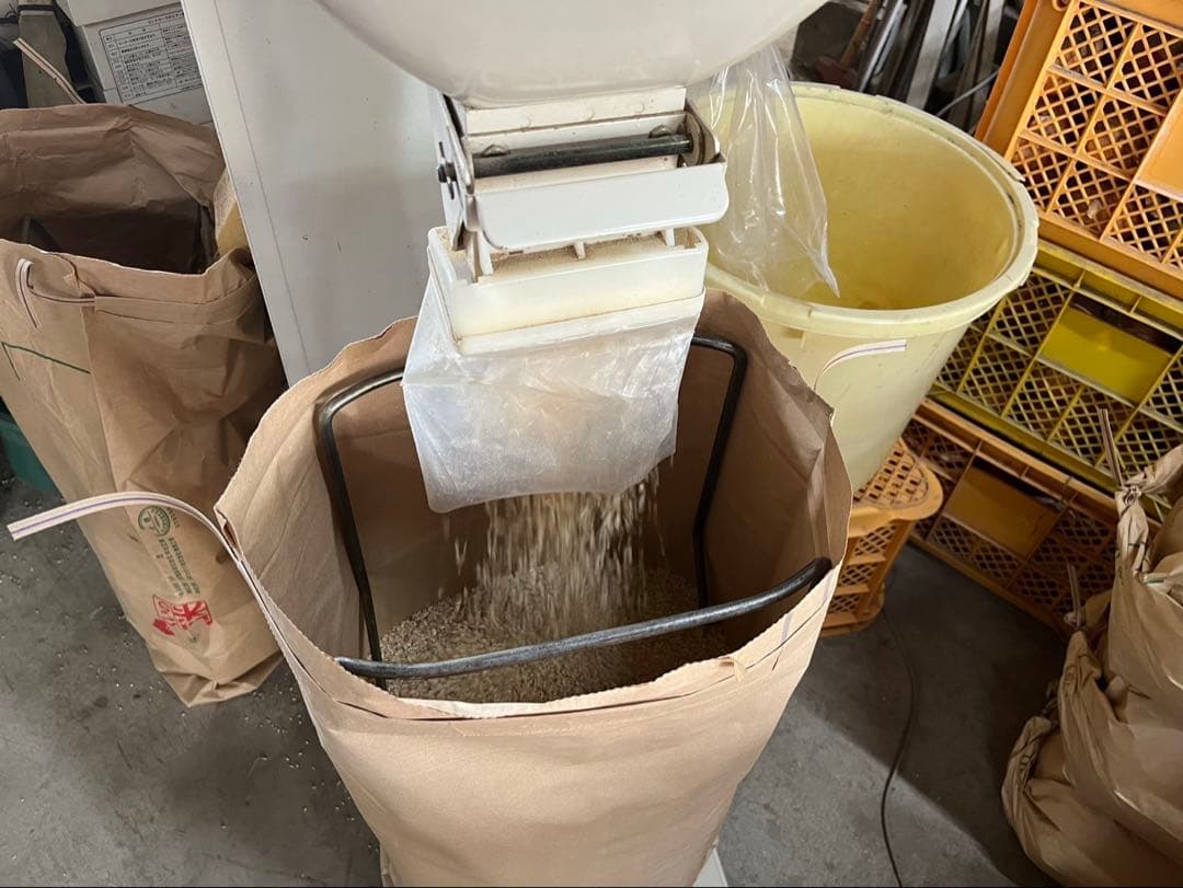 令和7年度コシヒカリ　近江米　農薬不使用