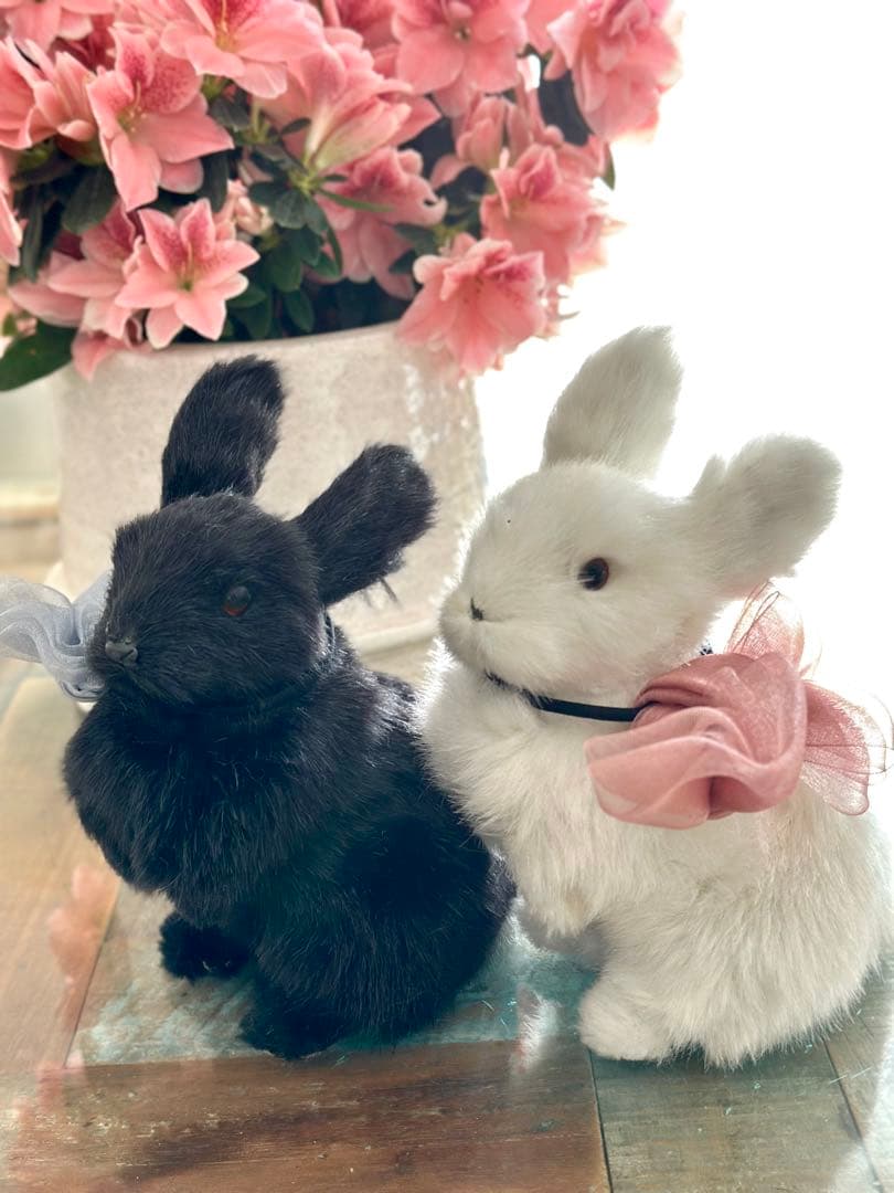 レア★うさぎ　ウサギ　ぬいぐるみ オブジェ 置き物　飾り　ラビット　雑貨