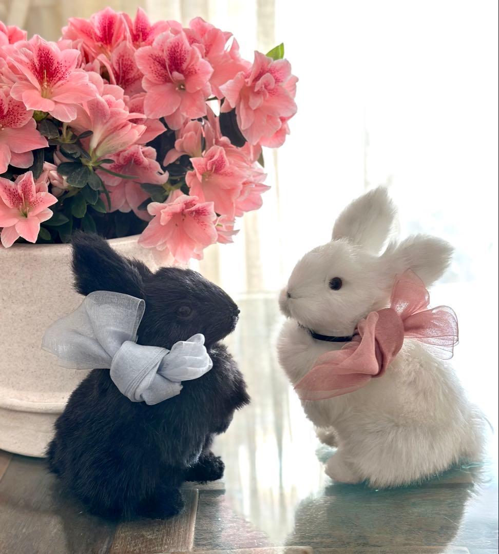 レア★うさぎ　ウサギ　ぬいぐるみ オブジェ 置き物　飾り　ラビット　雑貨