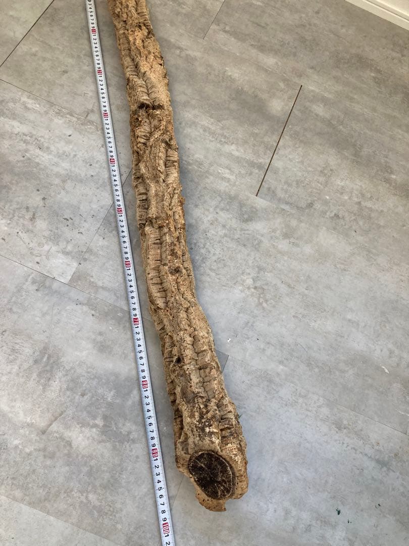 【だいすけ様】爬虫類飼育セット 90x45x60グラステラリウム 爬虫類ケージ