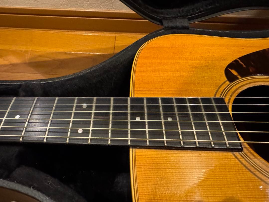 TAMA製 Ibanez AW-100S limited edition