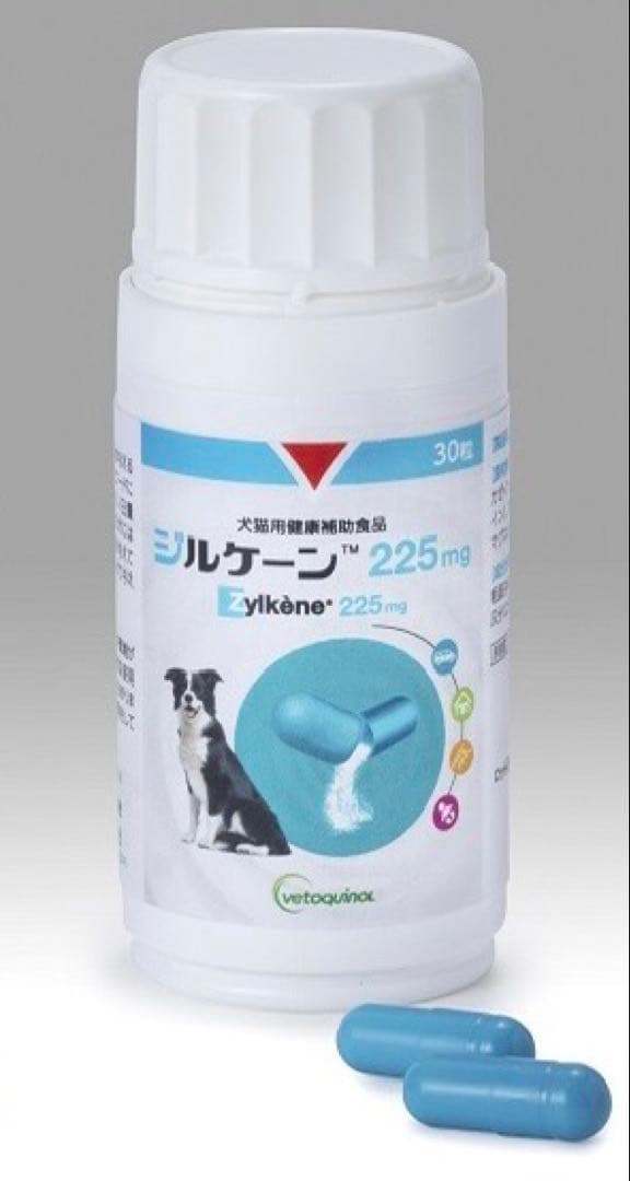 ジルケーン 225mg 30粒×3箱【賞味期限: 2026.10.03】