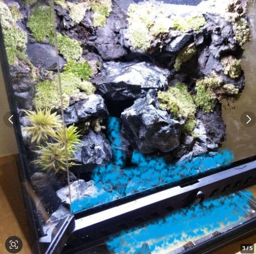 【受注生産】イモリウム　アクアテラリウム グラステラリウム