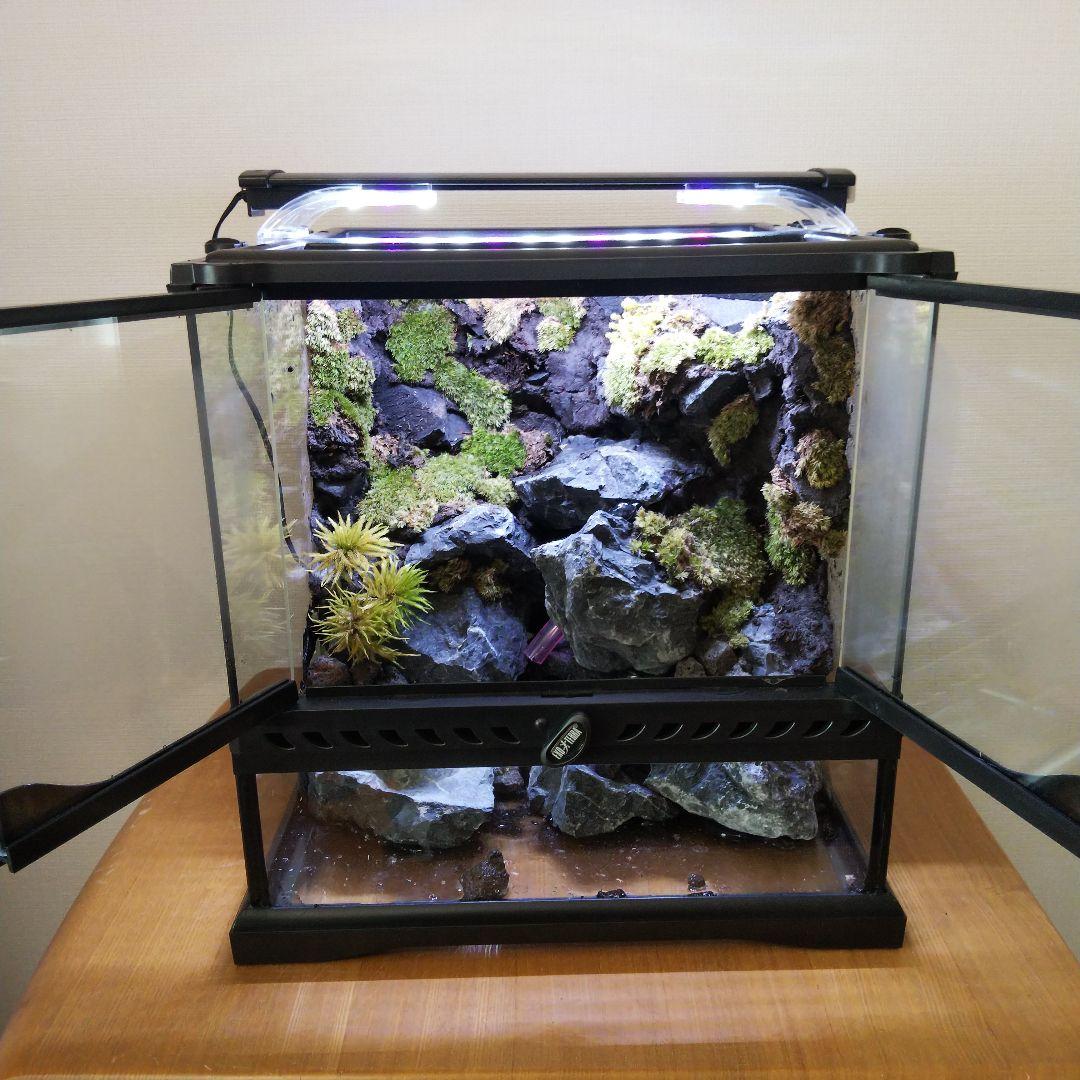 【受注生産】イモリウム　アクアテラリウム グラステラリウム