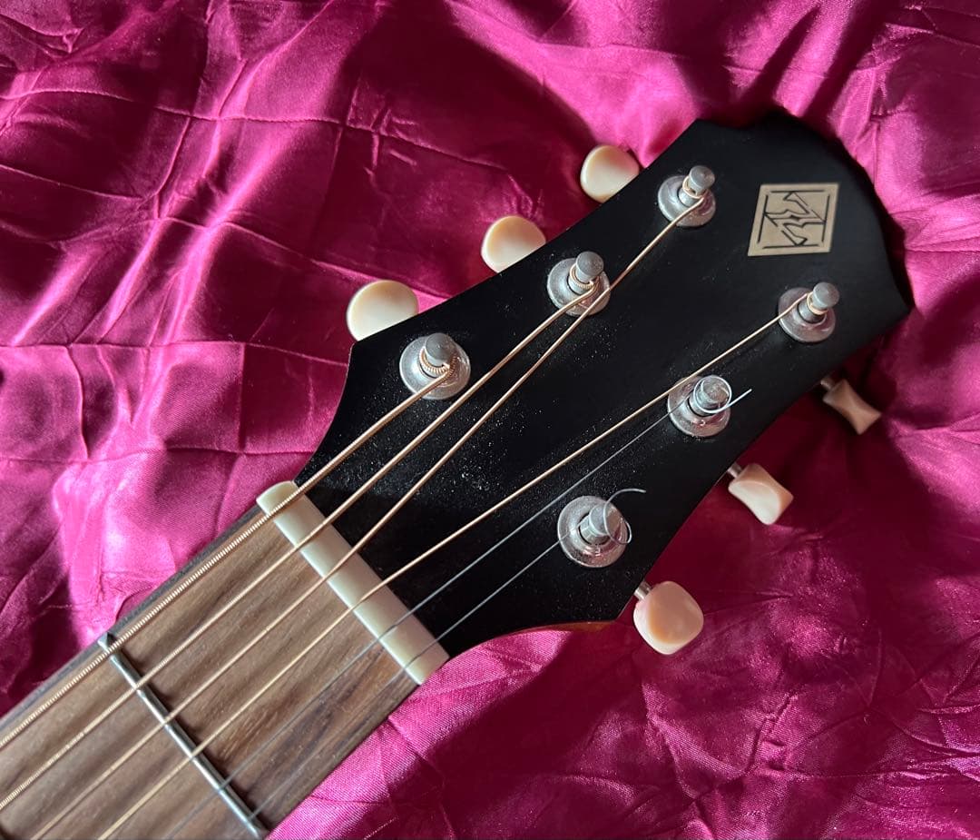 激レアZemaitis CAM-60H ハート型サウンドホール希少パーラーギター