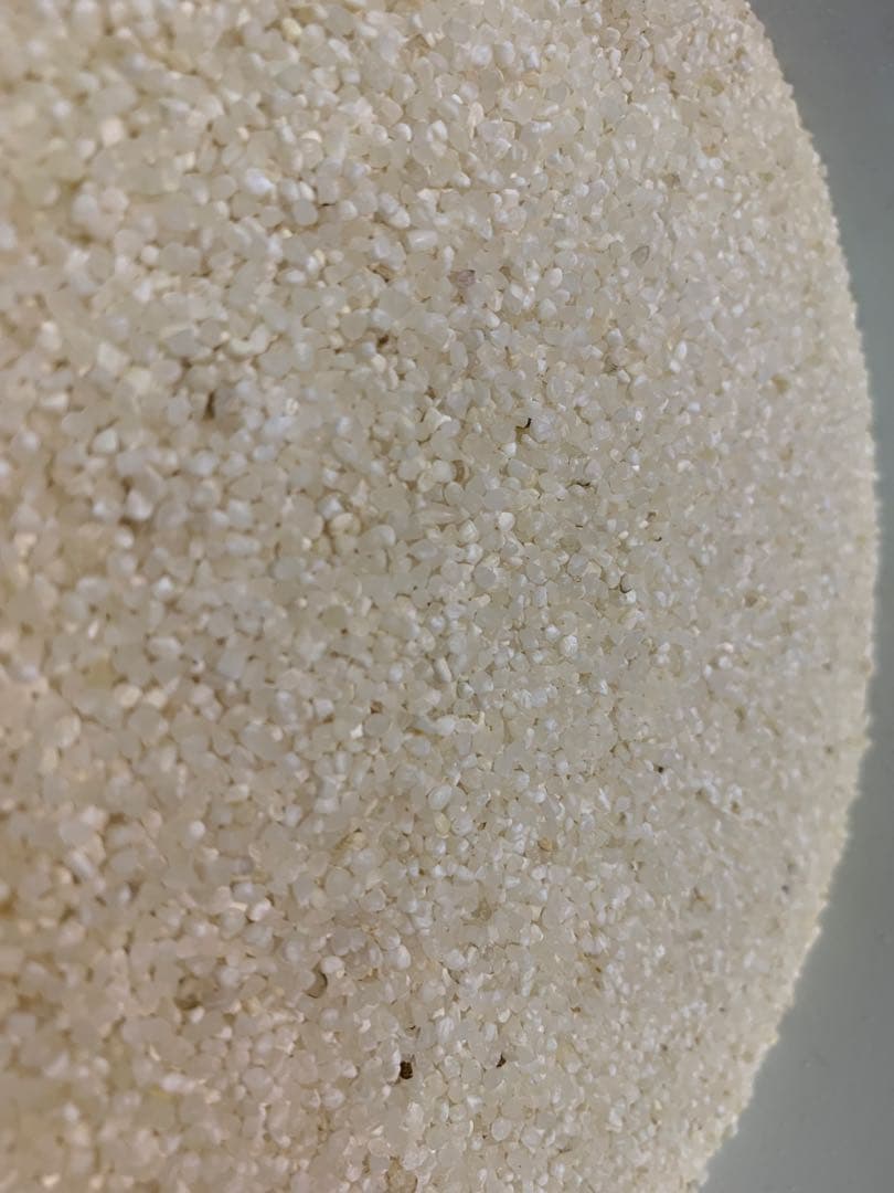 砕米　25キロ　白米　令和6年産