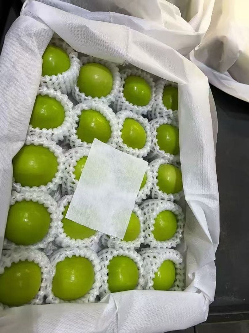 台湾新鮮ナツメ一箱約2.5kg