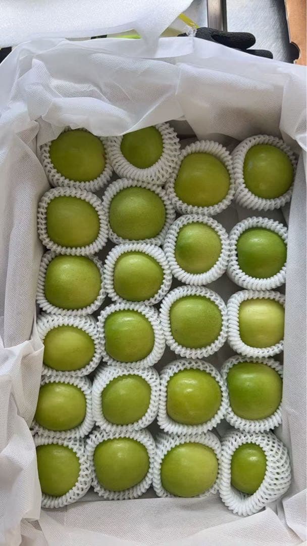 台湾新鮮ナツメ一箱約2.5kg