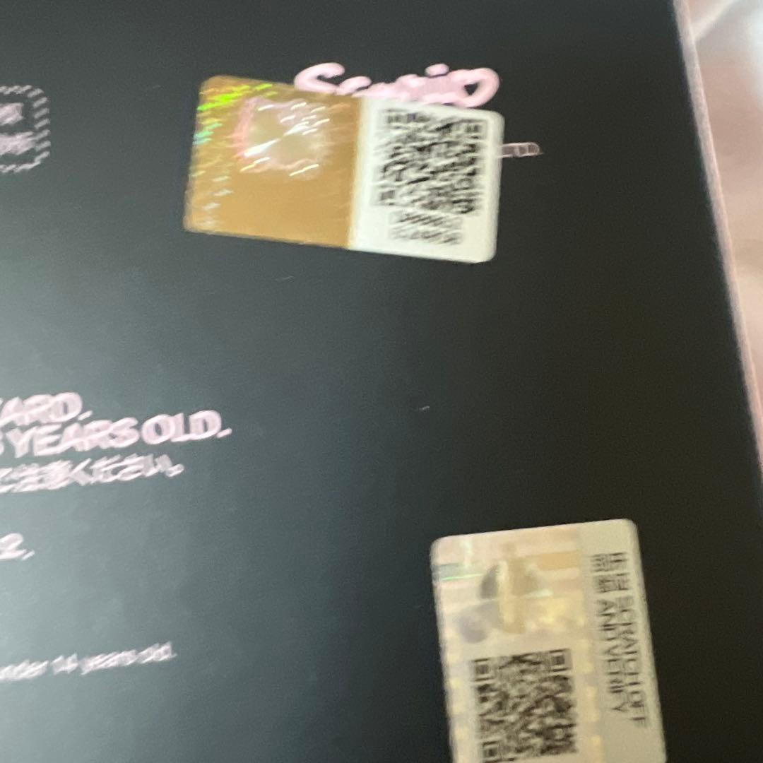 Kuromi & My Melody x Skullpanda 2体セット