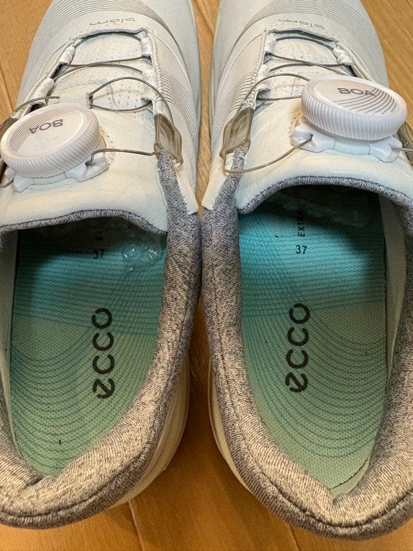 Ecco ゴルフシューズ 37 ホワイト　23.5 エコー