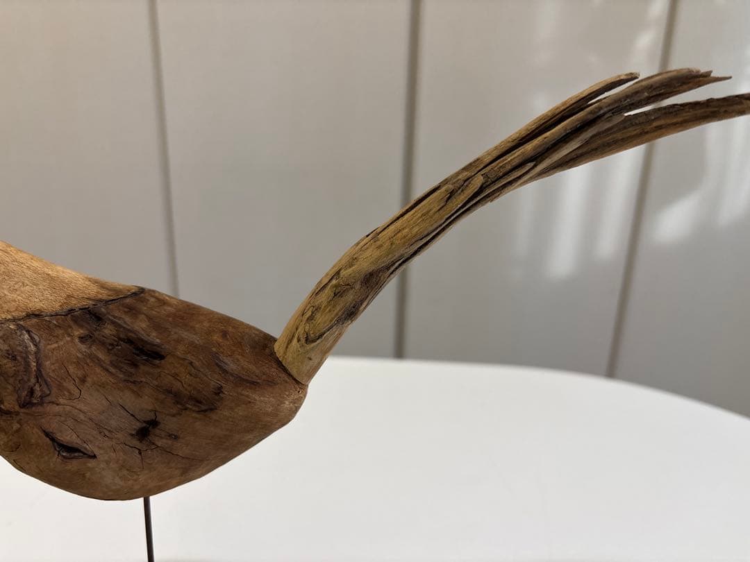 針原修　　流木の鳥