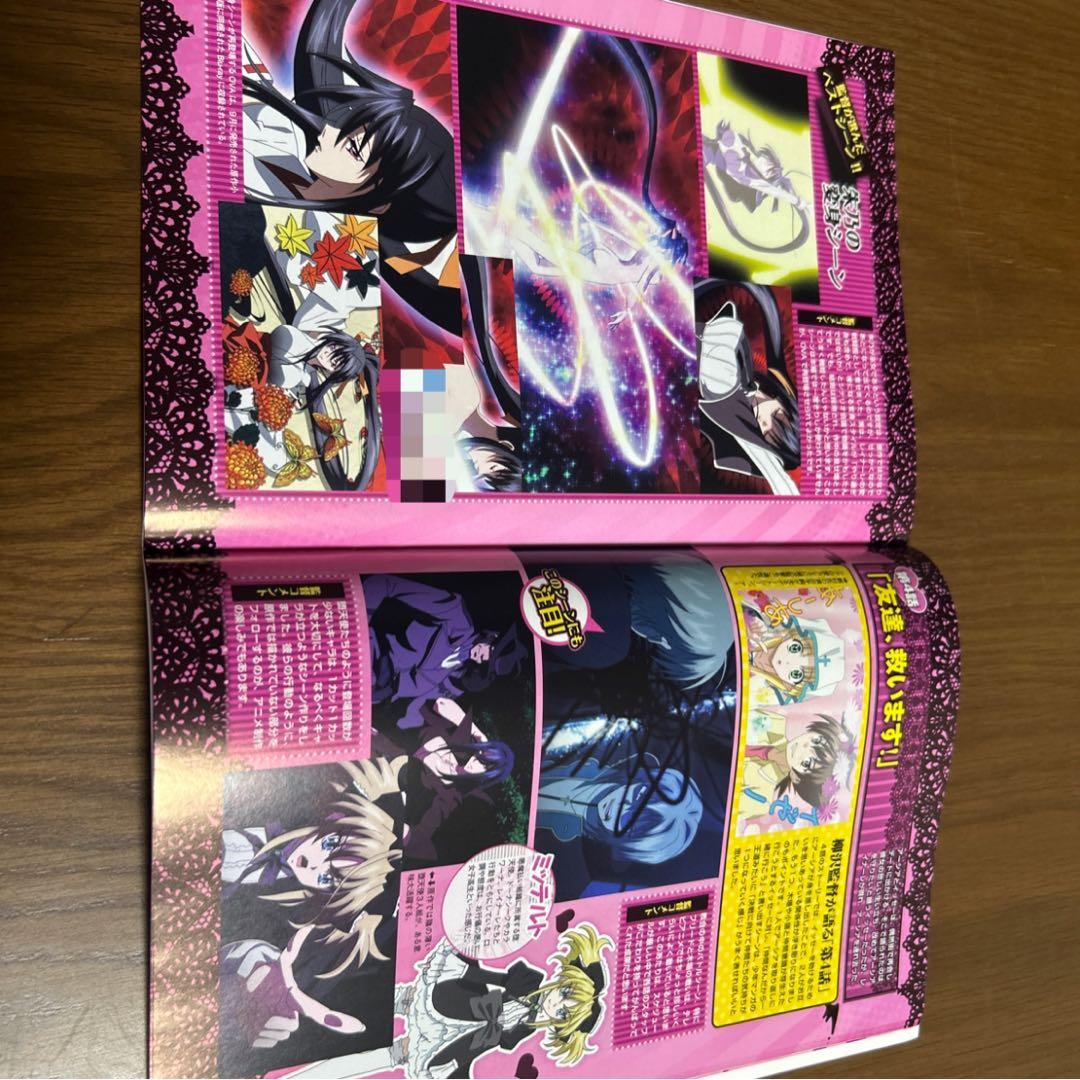 ハイスクールD×D TVアニメまるわかり　どきどきブック【非売品】