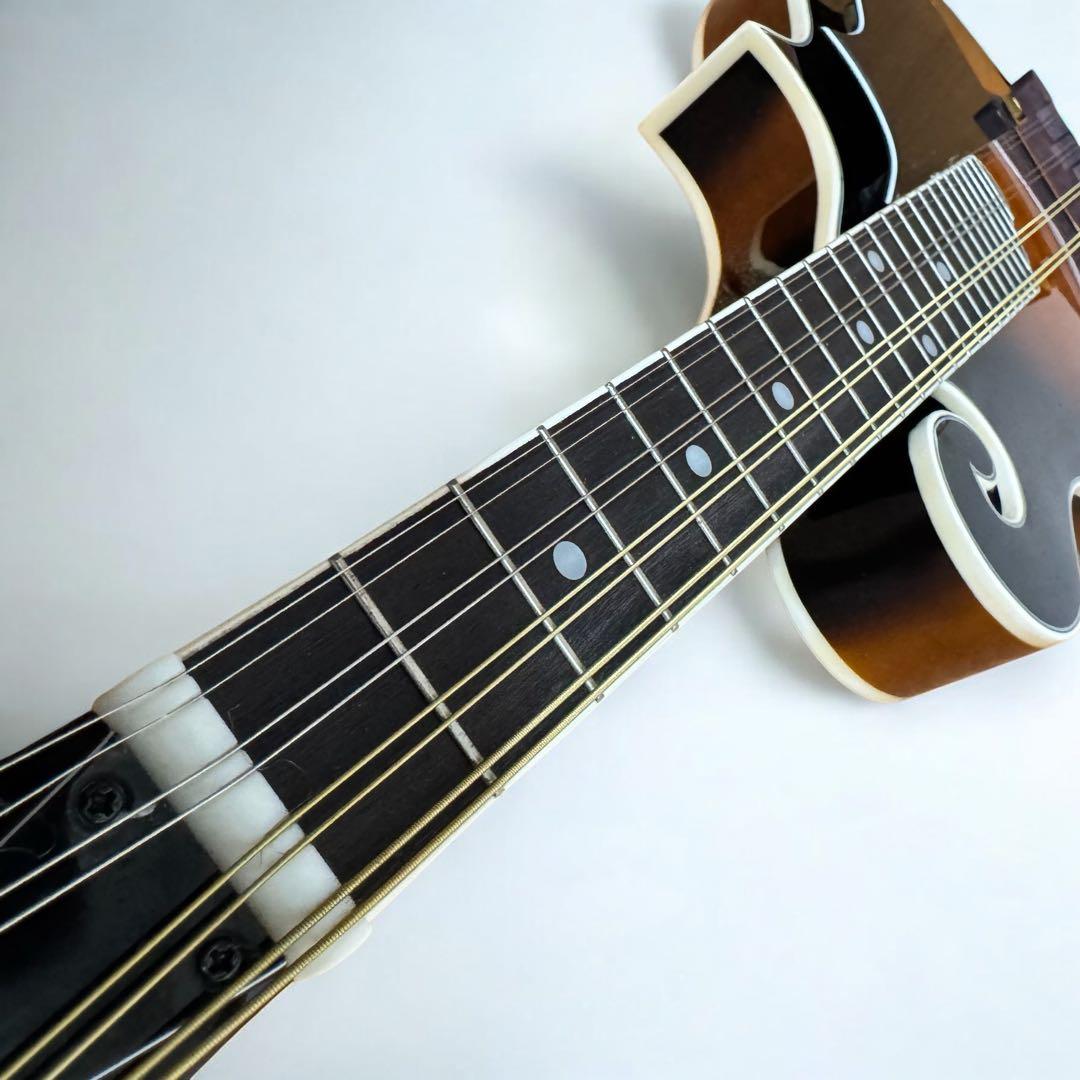 【美品】ARIA AM-40 フラットマンドリン ハードケース付き