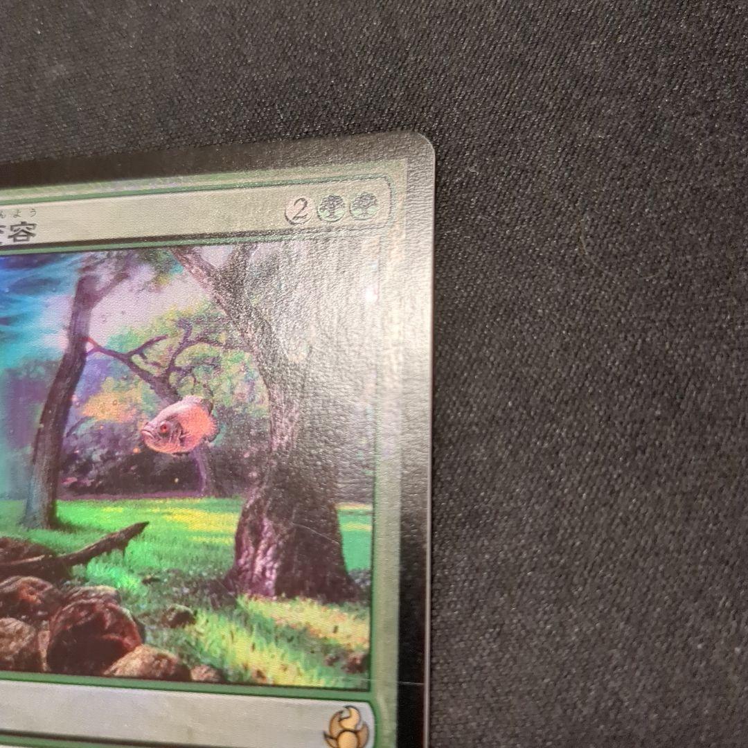 MTG 風景の変容 MOR 日本語版 Foil
