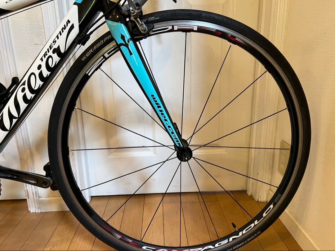 Wilier Luna Tiagra サイズXXS カンパニョーロZONDA仕様