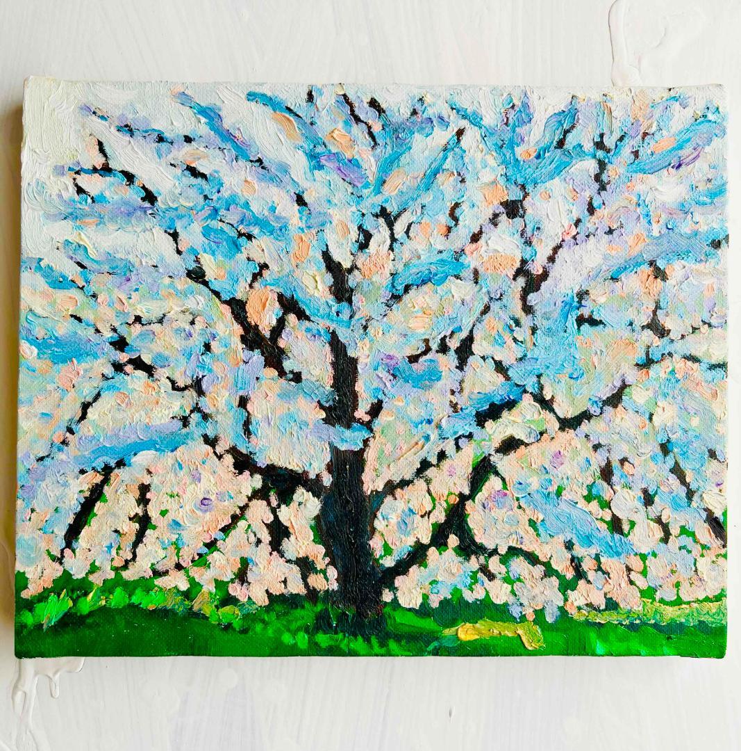 22×27㎝「朝の桜３」油彩・原画・F3