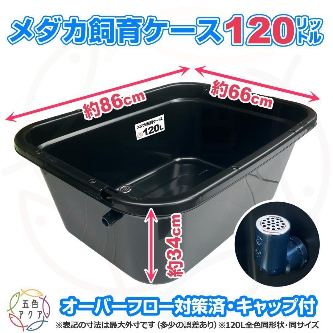 メダカ飼育ケース 120㍑x1個 黒・濃緑あり オーバーフロー 金魚 ビオトープ