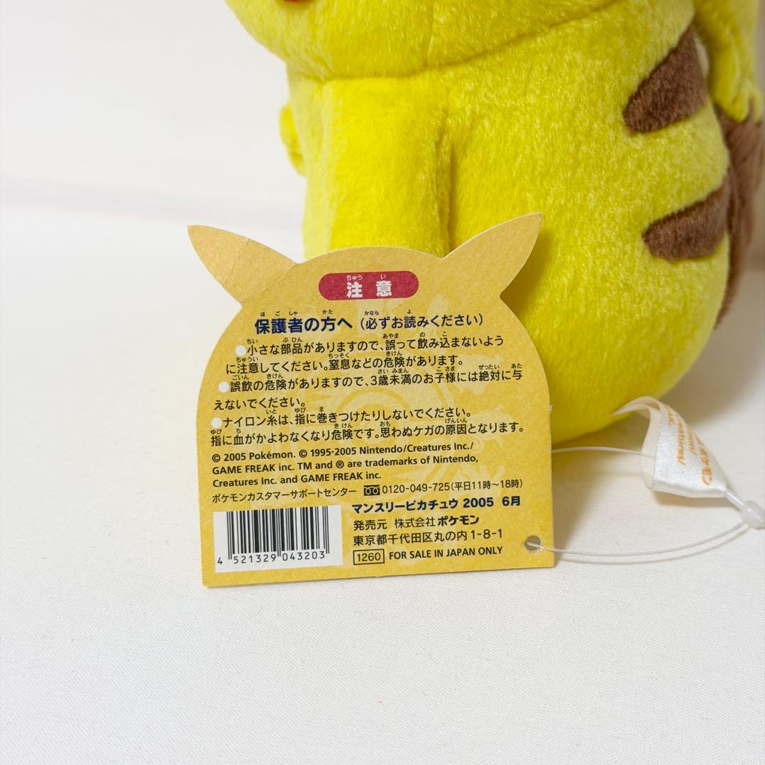 マンスリーピカチュウ 2005年6月ポケモンセンター限定 ポワルンてるてるぼうず