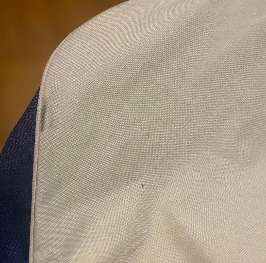 【希少カラー・スタンド式】Mizuno ゴルフ　キャディバッグ　中古