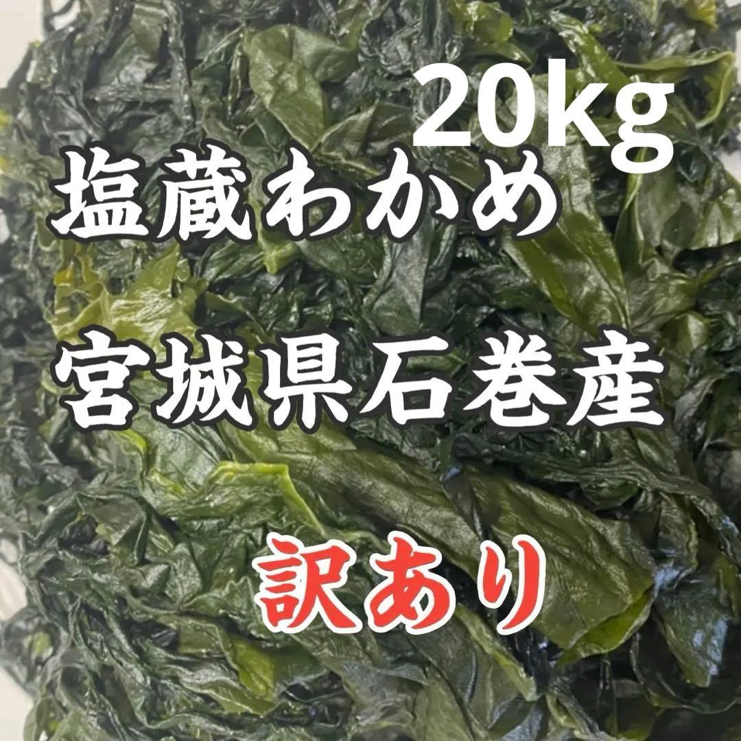 塩蔵わかめ 宮城県石巻産 訳あり品
