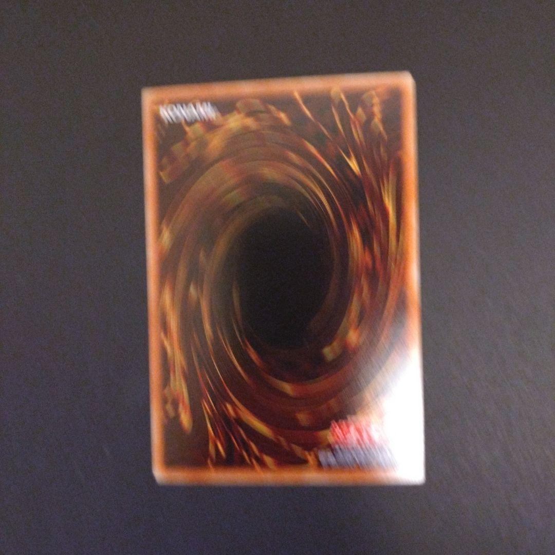 な*あ様 遊戯王　青眼の白龍　ホロパラ