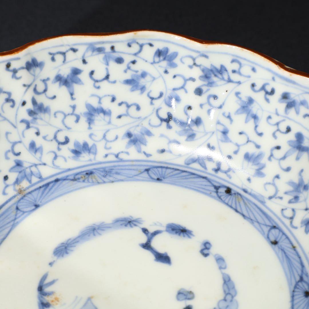 伊万里染付　微塵唐草図なます皿　骨董　古伊万里　R1474B2