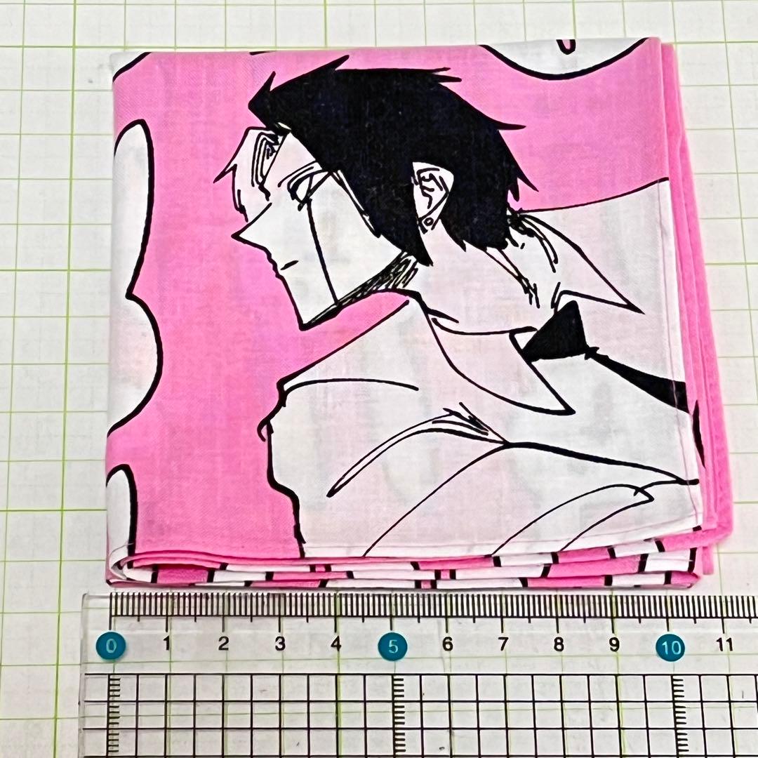 レイン・エイムズ　ウサギ　魔法のハンカチ