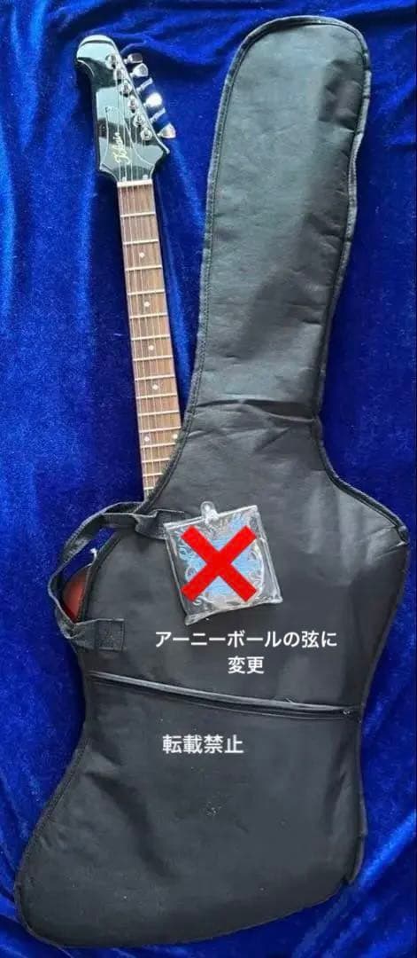 【TOKAI】ファイアバードモデル