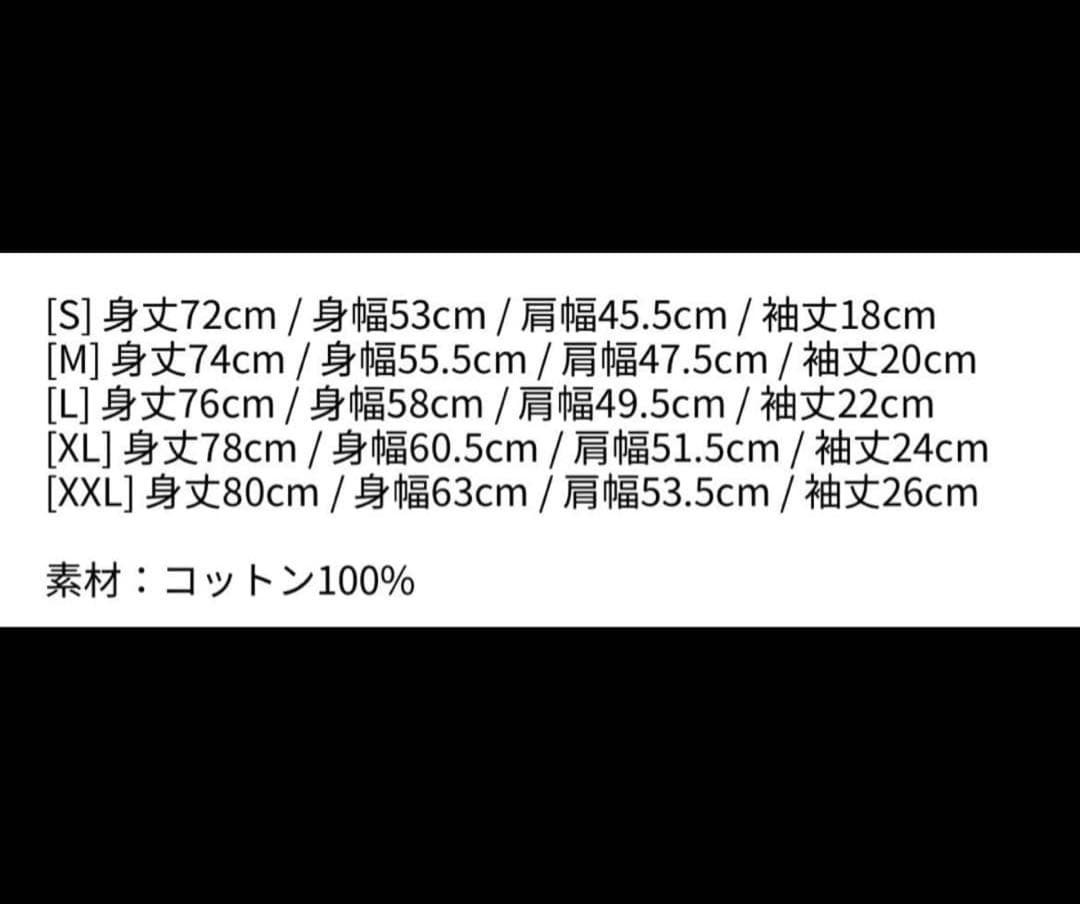 レディーガガ　ライブ　Tシャツ　vanish ladygaga メイヘム