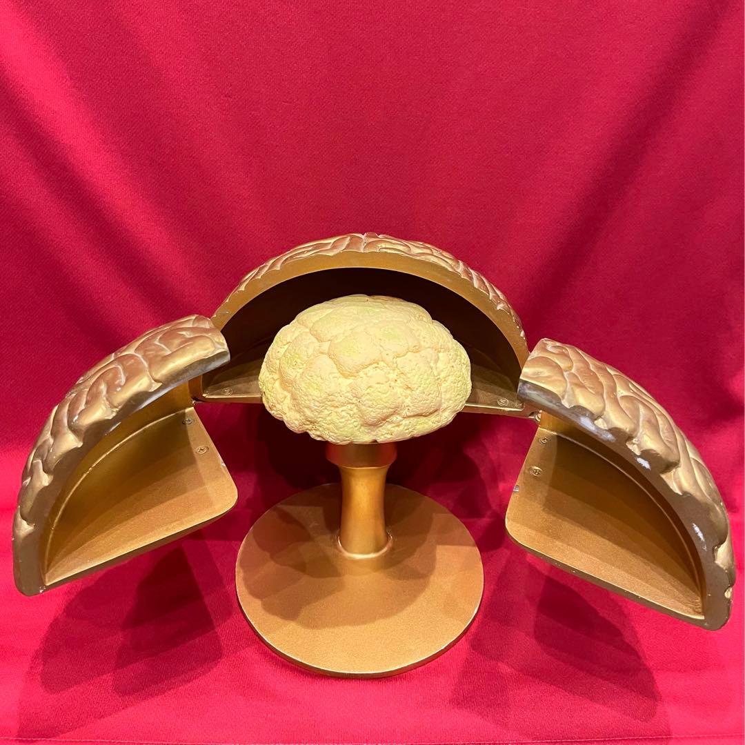 【本物】トリビアの泉 金の脳 へぇ タモリ 八嶋智人 高橋克実