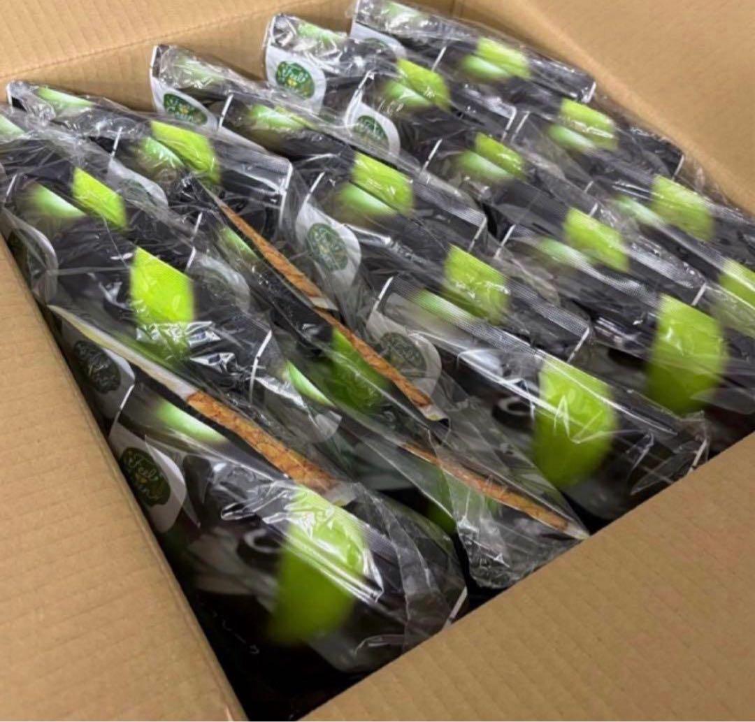 日食 やさしいコーンフレーク プレーン 120g x20個