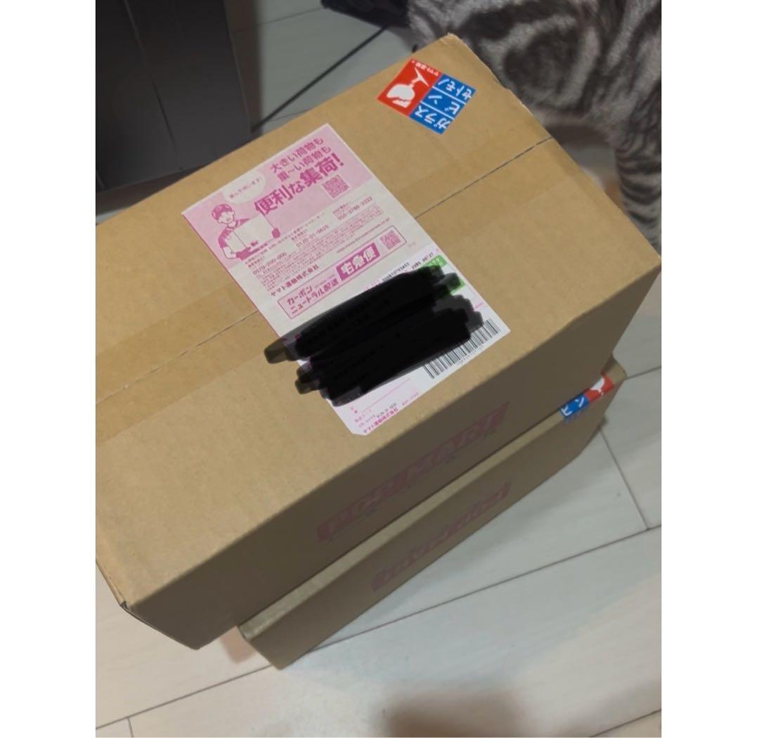 【正規品】 ラブブ LABUBU big into energy 本我