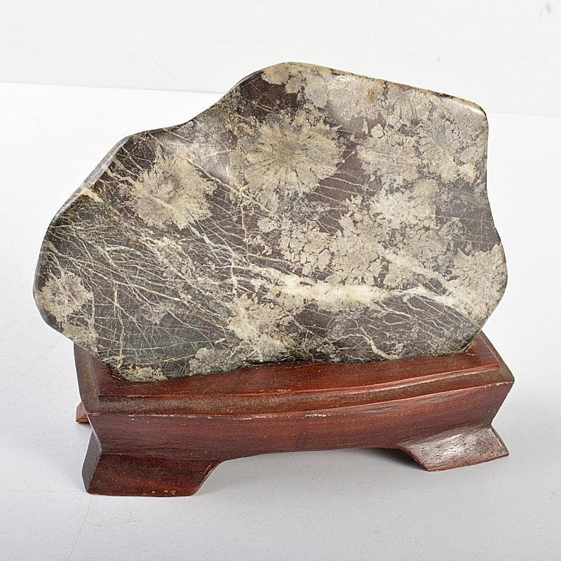 鑑賞石　天然石　菊花石　置物　重さ約627ｇ　唐木台付　C　6297