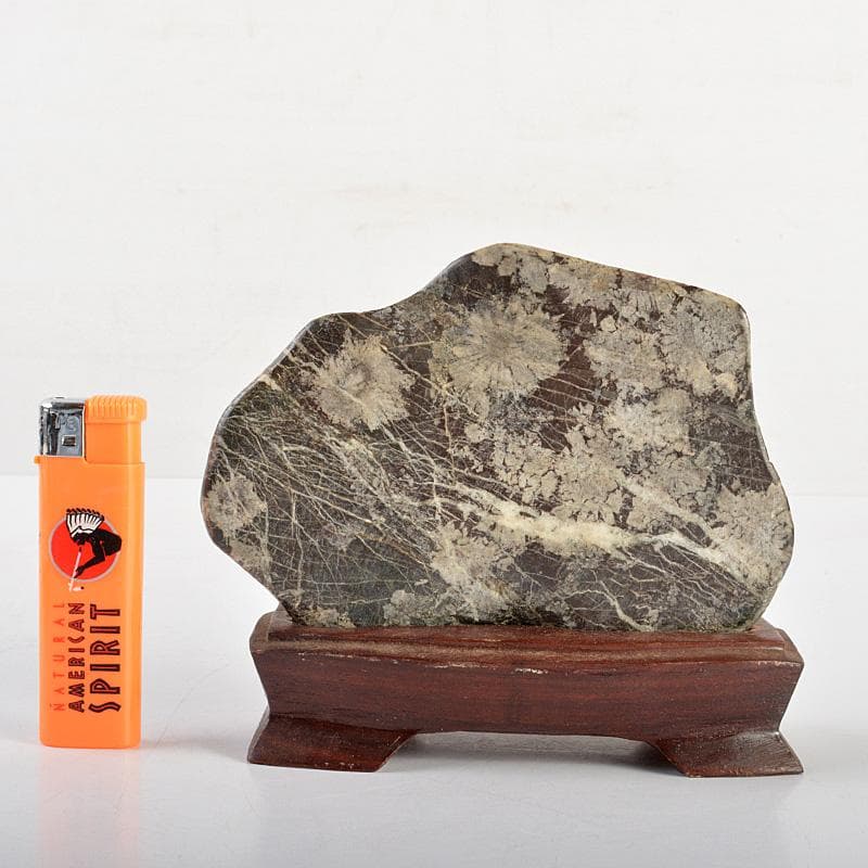 鑑賞石　天然石　菊花石　置物　重さ約627ｇ　唐木台付　C　6297