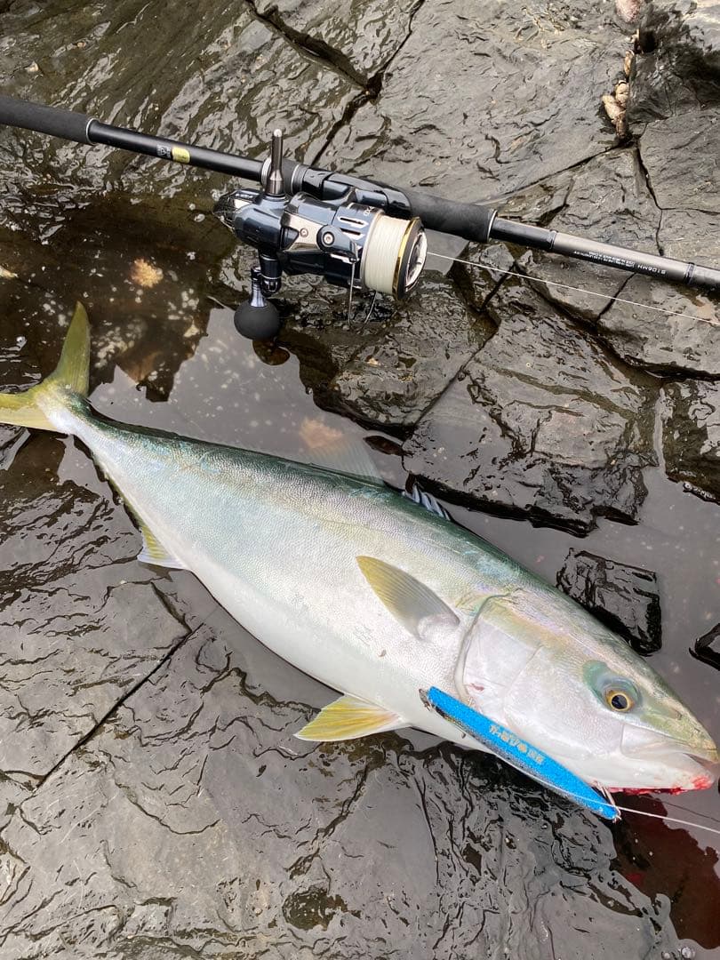 18ディアルーナ 106mh シマノ