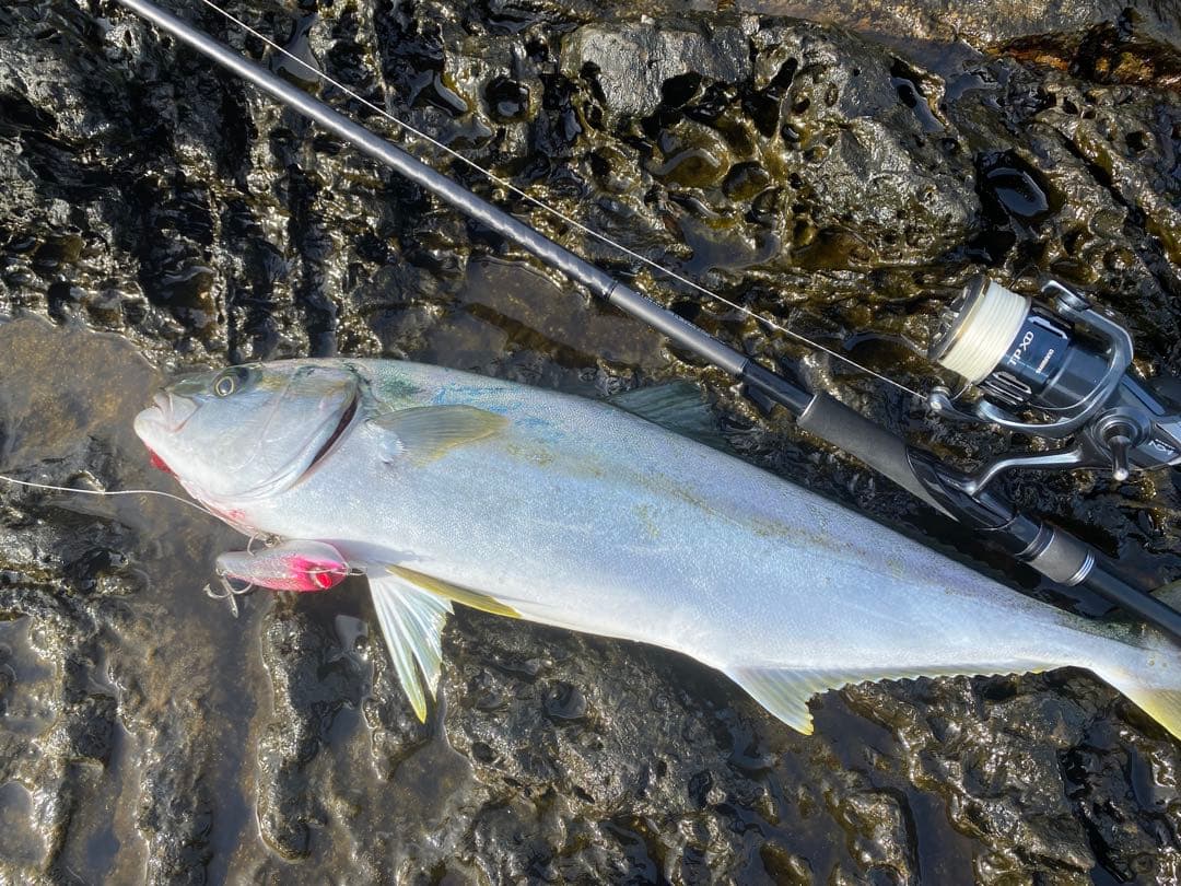 18ディアルーナ 106mh シマノ