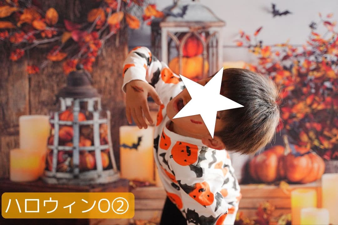 背景布【秋XE】サンプル80×120　ペット撮影用ブース　十五夜　お月見　宇宙