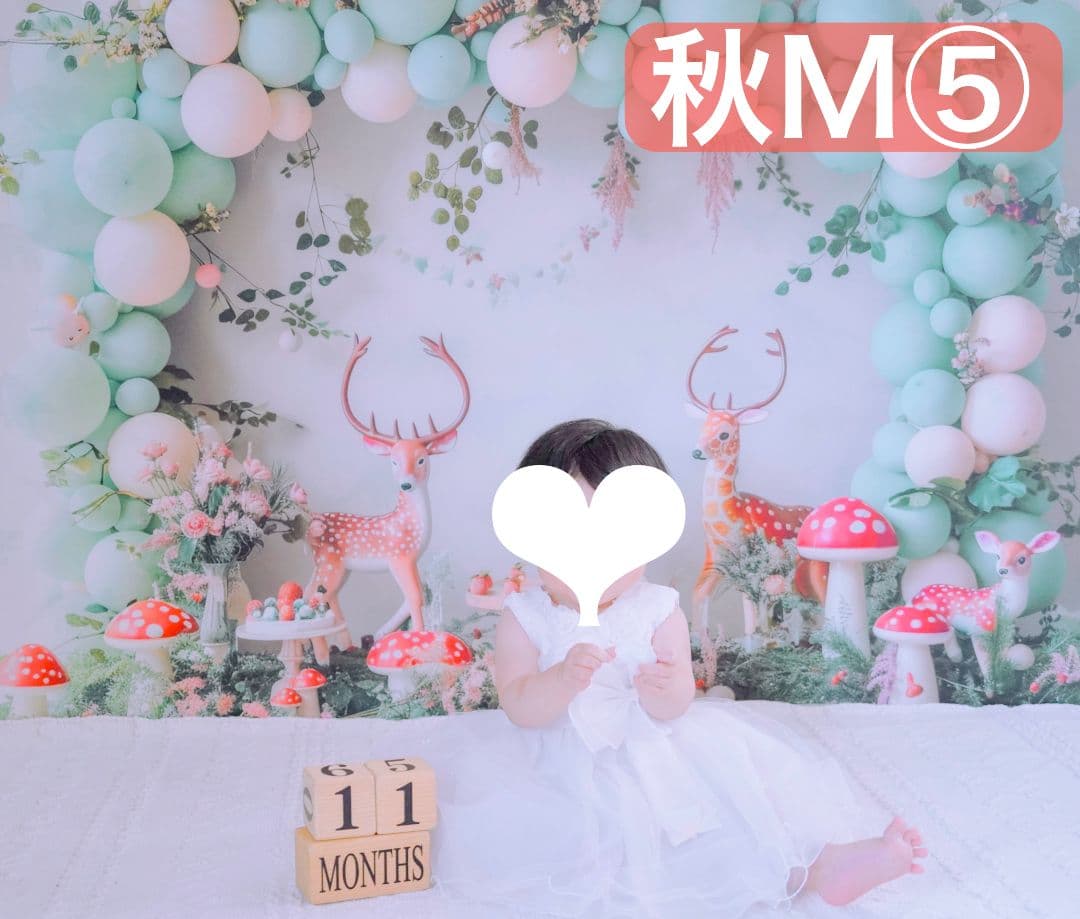 背景布【秋XE】サンプル80×120　ペット撮影用ブース　十五夜　お月見　宇宙