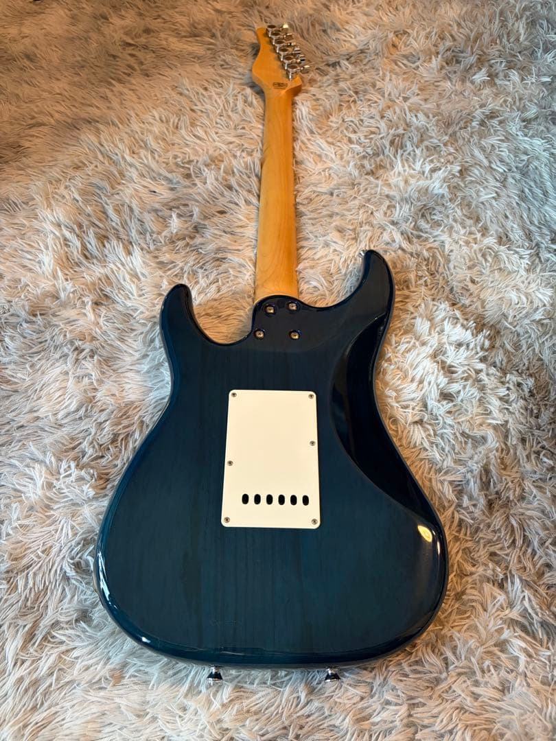 SCHECTER ギター BH-1-STD-24F/DBL/M