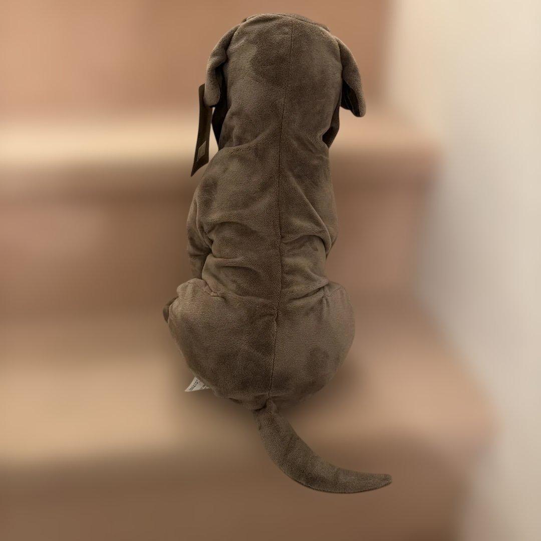 ハリー・ポッター ぬいぐるみ 犬型 グレー