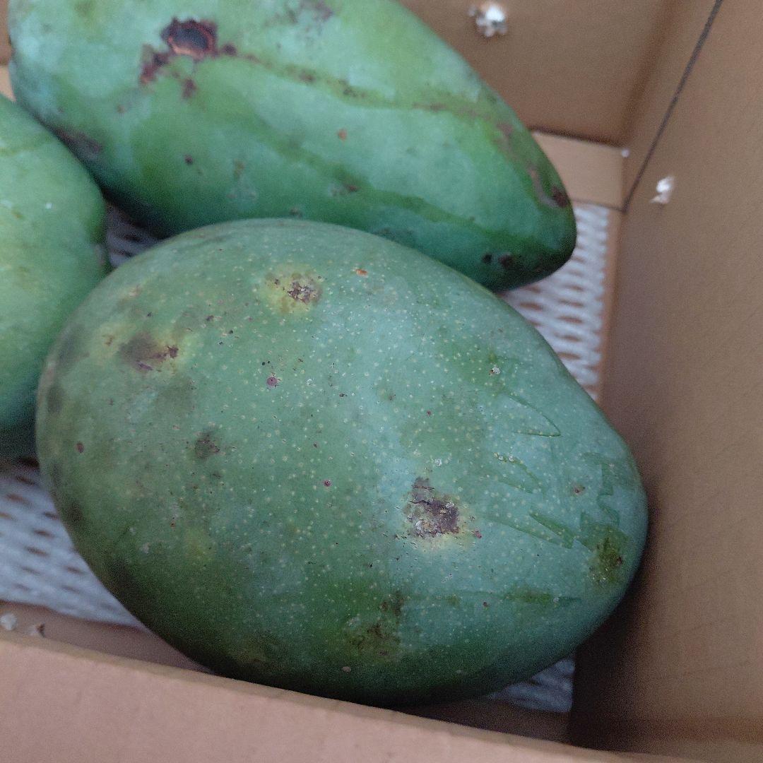 追熟型　キーツとキンコウ