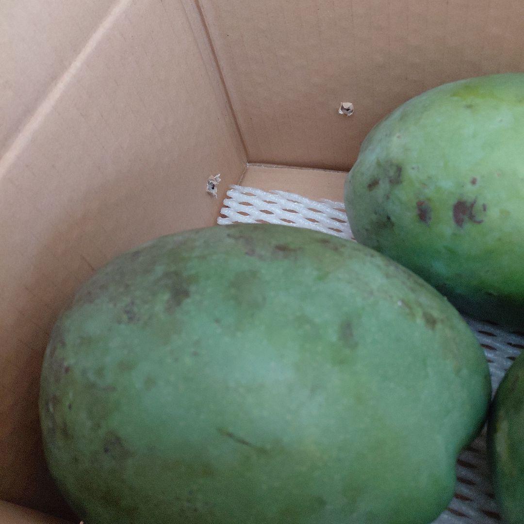 追熟型　キーツとキンコウ