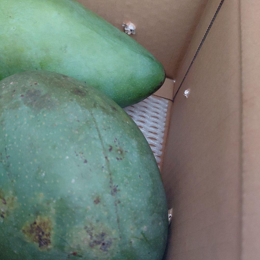 追熟型　キーツとキンコウ