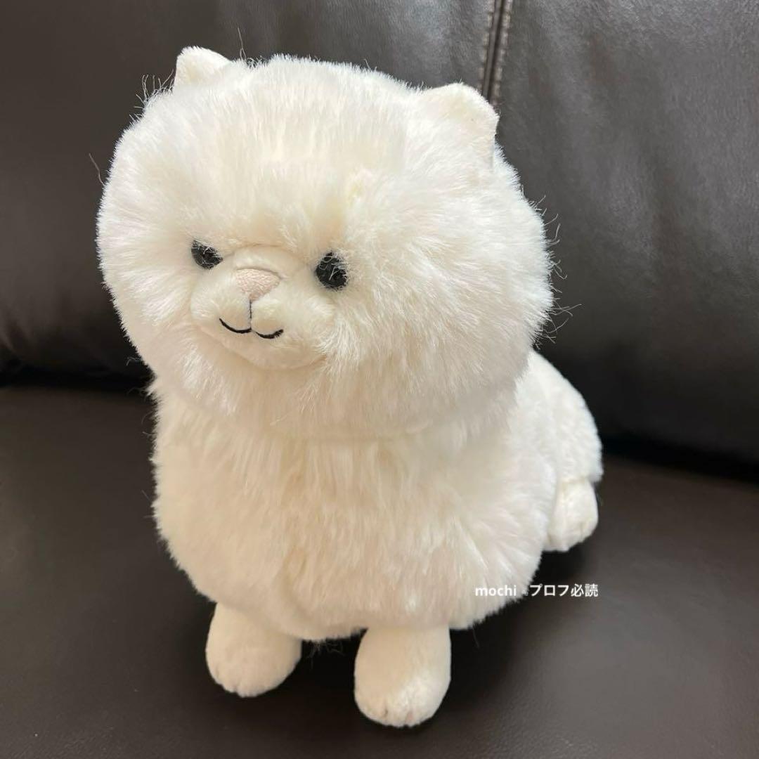  Carissa Persian Cat ねこぬいぐるみタグなし