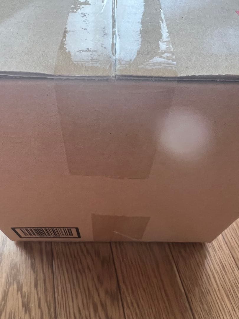 ❁*!様 【正規品】Labubu Big into Energy ラブブ シーク