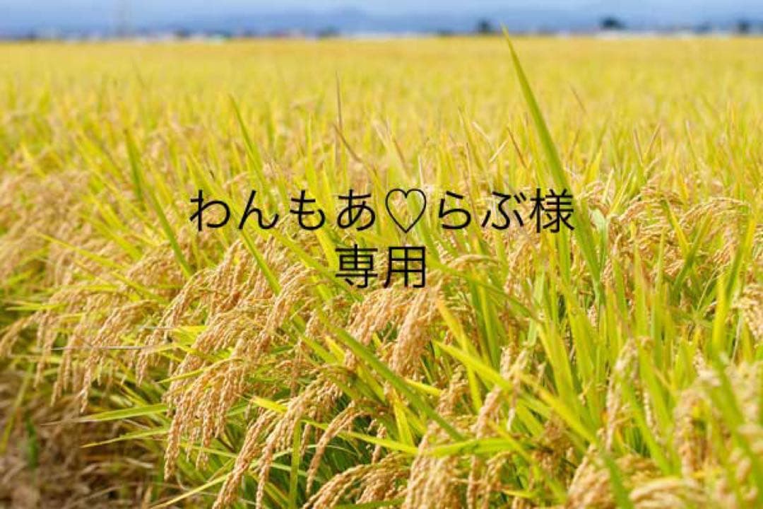 わんもあ♡らぶ